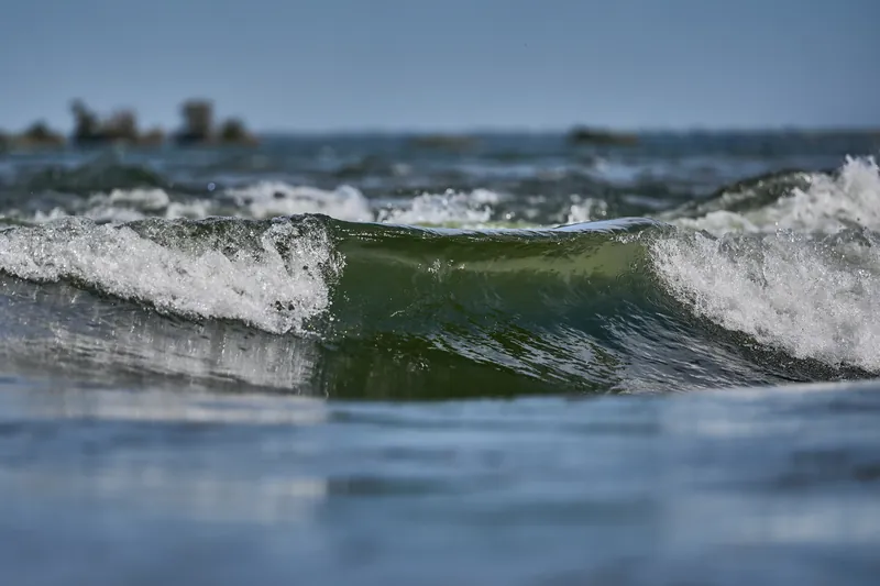 La Vague à Guy en gros plan, une crête verte qui se brise